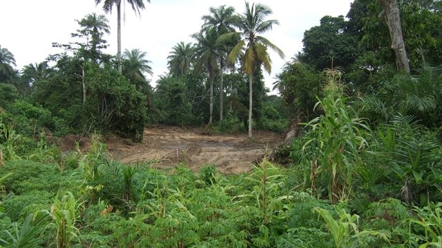 Calabar- Nigeria 